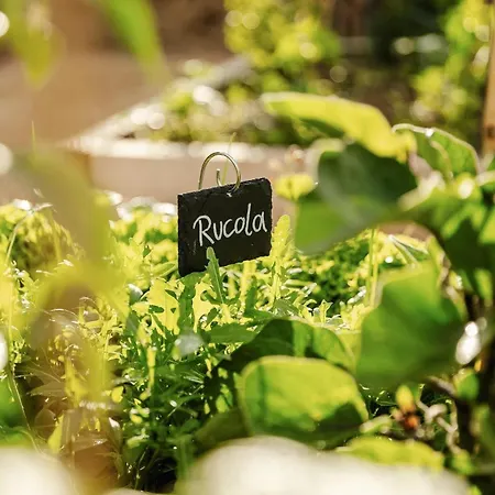 Das Farmhaus - Premium Ferienhaus - Auf Den Moselhoehen - Pool, Sauna, Kino, Garten * Lieg