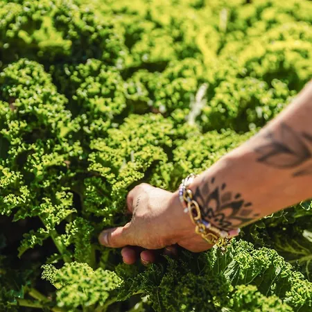 Farmhaus - Premium - Auf Den Moselhoehen - Pool, Sauna, Kino, Garten Деревянный коттедж Lieg