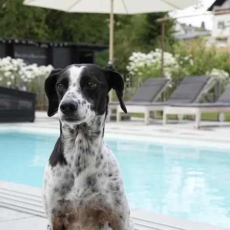 Farmhaus - Premium - Auf Den Moselhoehen - Pool, Sauna, Kino, Garten Lodge *