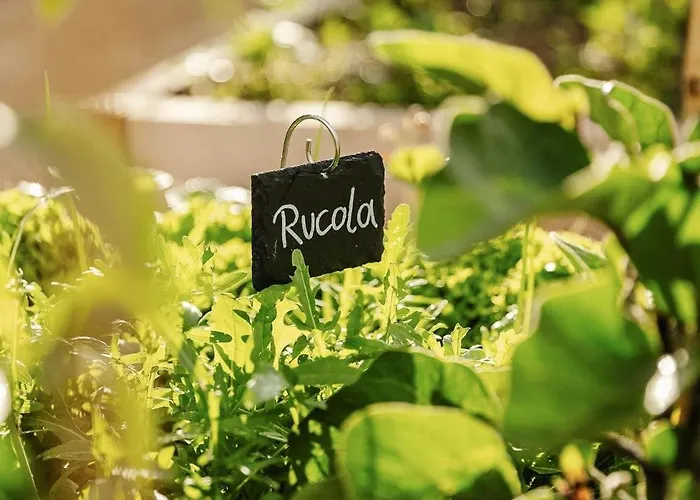 Farmhaus - Premium - Auf Den Moselhoehen - Pool, Sauna, Kino, Garten * Lieg