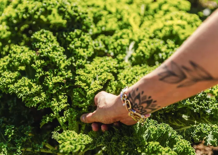 Farmhaus - Premium - Auf Den Moselhoehen - Pool, Sauna, Kino, Garten אכסניה Lieg